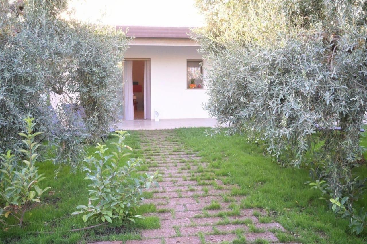 I Secolari Bed & Breakfast Sannicandro di Bari Exterior photo